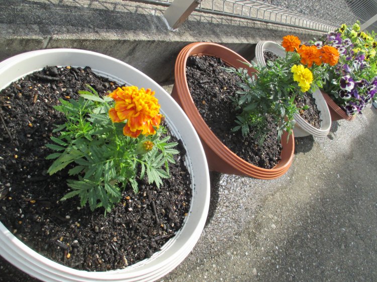 Thumbnail of post image 035