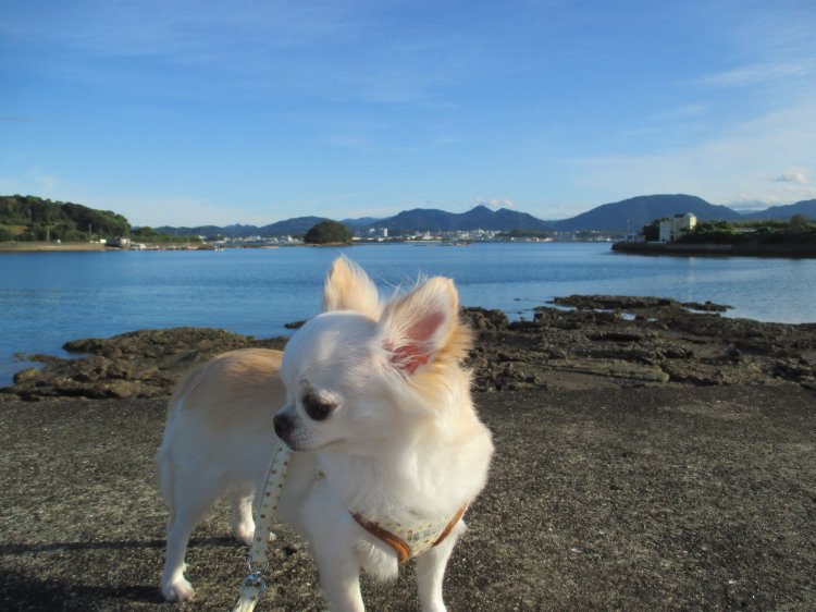 Thumbnail of post image 013