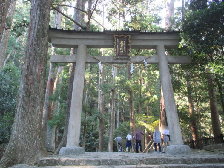 Thumbnail of post image 036