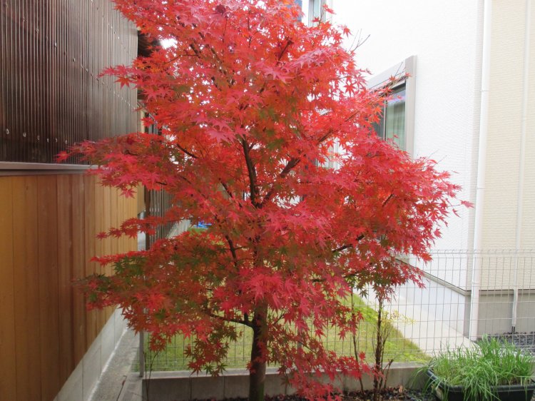 Thumbnail of post image 031