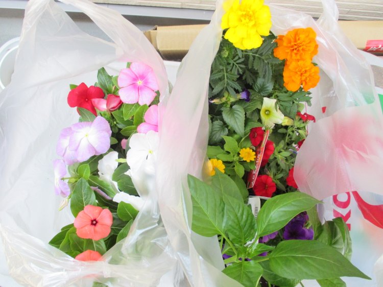 Thumbnail of post image 040