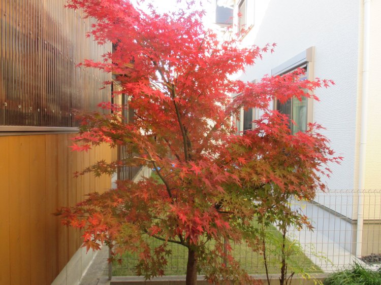 Thumbnail of post image 036