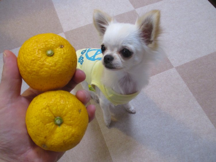 Thumbnail of post image 044