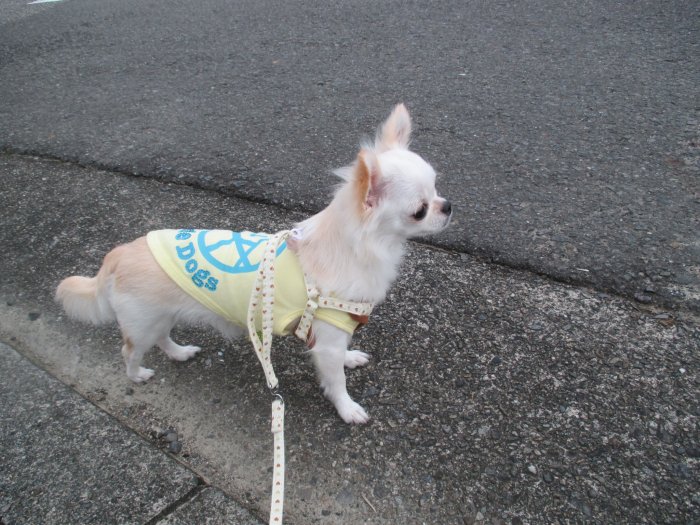 Thumbnail of post image 086