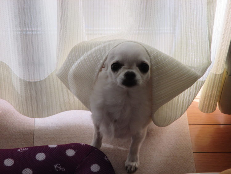 Thumbnail of post image 007