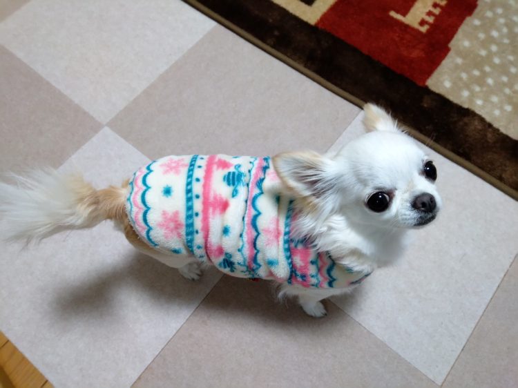 Thumbnail of post image 013