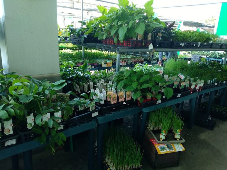 Thumbnail of post image 022