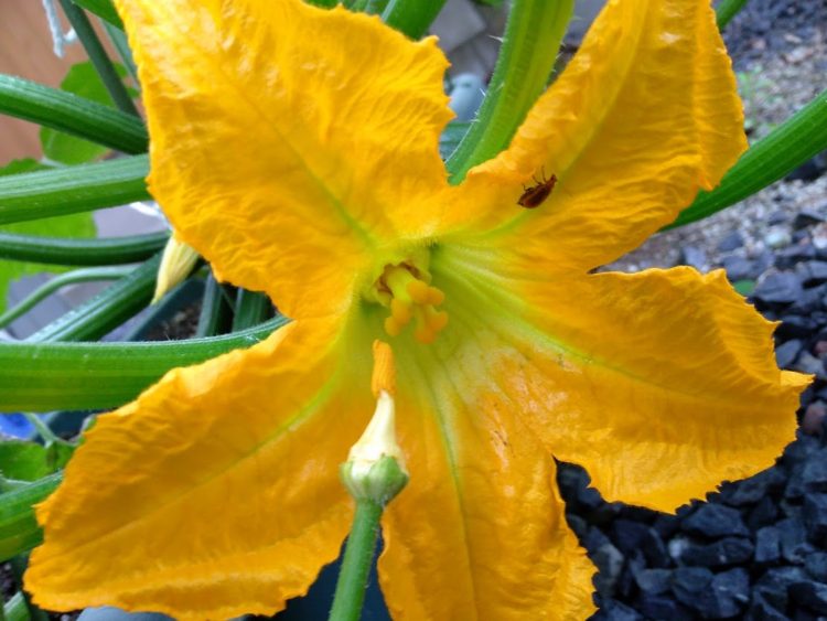 Thumbnail of post image 050